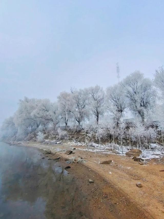 吉林雾凇景色奇特三九严寒，冰天雪地中的美景——吉林雾凇