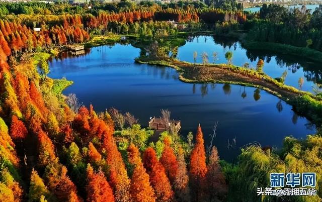 昆明地铁5号线线路图，5号线来了快上车（地铁线路图昆明5号线）