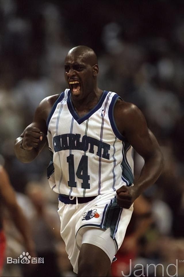nba黄蜂队现役首发，NBA巡礼之队史最佳阵容之夏洛特黄蜂队
