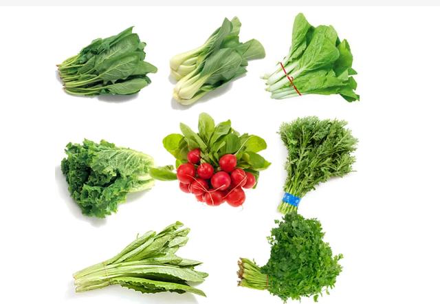 各种类型蔬菜有哪些，蔬菜的分类及品种有哪些