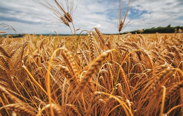 何为虚荣心态，虚荣的人是什么心理