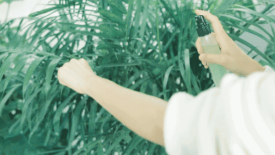 螨虫最怕的土办法，家里老人小孩老过敏