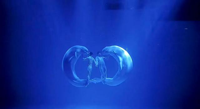 哈尔滨海洋极地馆，哈尔滨极地海洋馆内部（哈尔滨极地公园·极地馆）