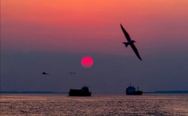 赞美友谊的唯美诗句子，7首描写友情的经典诗篇