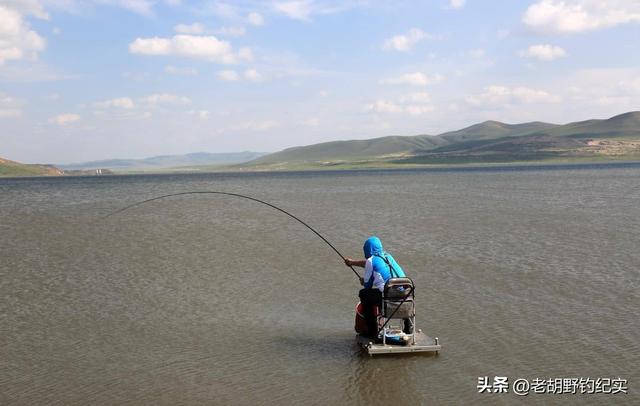 钓鱼初学者推荐什么鱼竿，论新手钓友该如何理性选择自己的钓竿