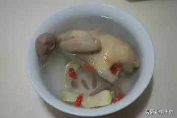 鸽子怎么做好吃，鸽子应该怎么做才好吃（炖鸽子汤需要焯水吗）