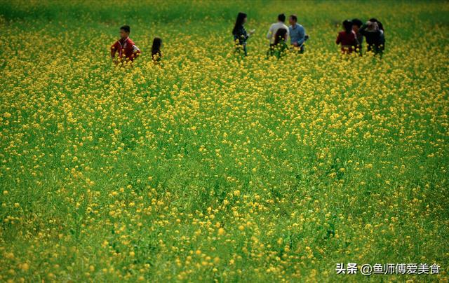 正月十六是好日吗，正月十六好日子