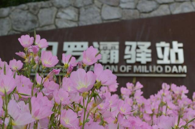 茅山风景区华阳洞，你想要的田园生活来了
