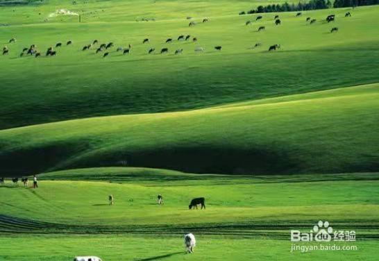 内蒙古行政区划图，蒙古故土鄂尔多斯（内蒙古自治区最新行政区划）