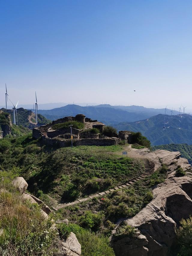 大王叫我来巡山舞蹈，大王叫我来巡山