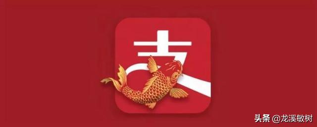锦鲤各品种的寓意和象征，锦鲤品类介绍<一>