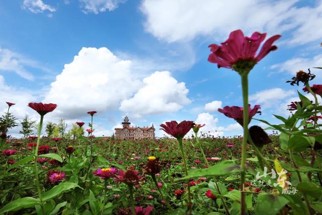 威海在哪个省哪个城市，威海属于哪个省份哪个市（中国这座海滨小城）