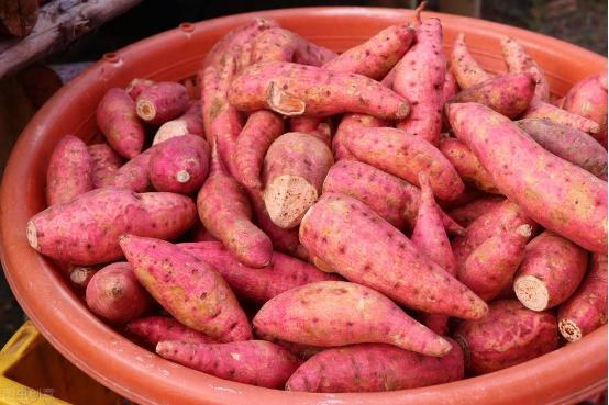 蒸红薯需要多长时间，蒸红薯的正确方法要几分钟