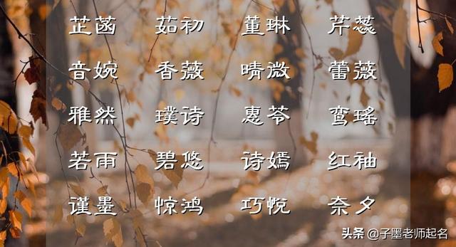 女孩名字优雅大气，女孩取名优雅大气有内涵的名字（恬静淡雅的女孩名字）