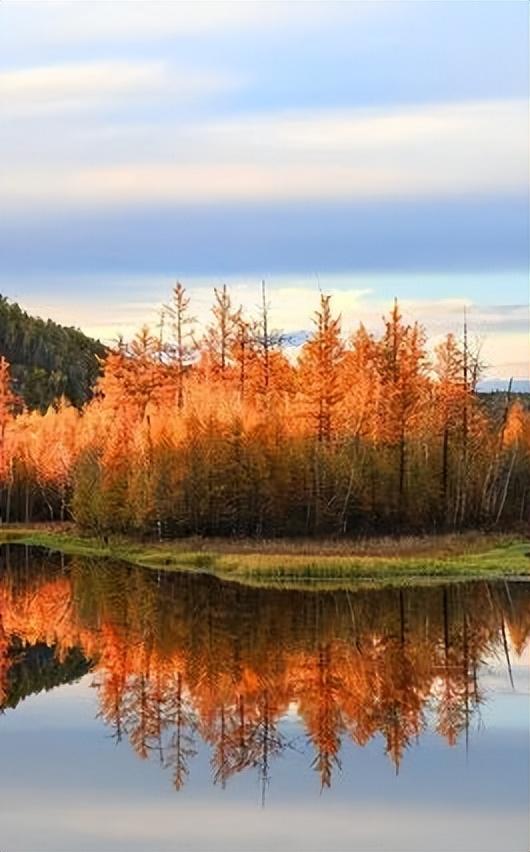 火车沿途风景最佳路线夏天，国内这些赏秋火车路线