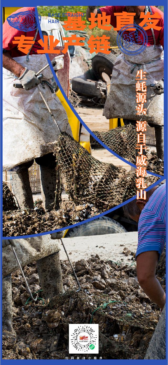 一般的生蚝可以生吃吗，到底能不能生吃