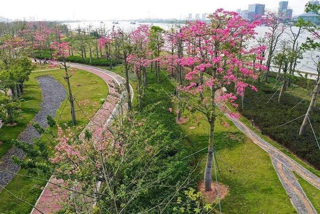 珠海有什么地方适合露营，假期第二天，你在珠海露营了吗