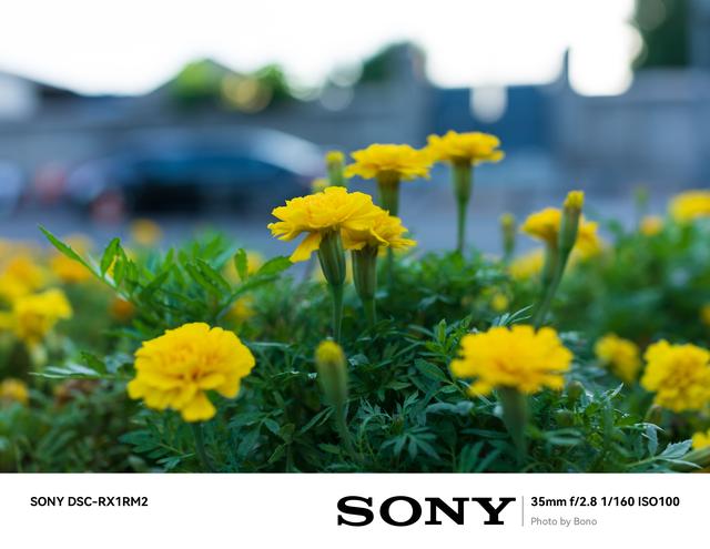 怎样自己做相片边框，分享一个制作相片边框的小工具