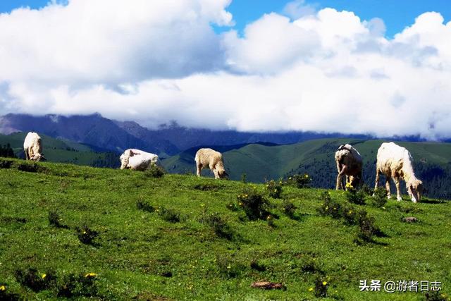 张掖旅游景点排名，张掖最近有哪些旅游胜地（张掖自驾游都有哪些好玩的地方）