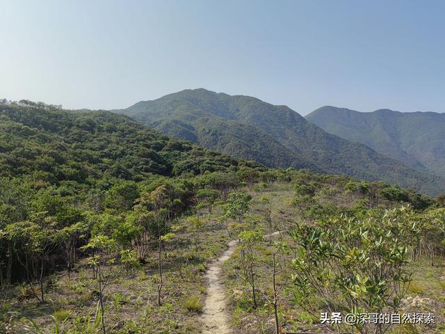 深圳不起眼的山峰，深圳这十座不知名山峰