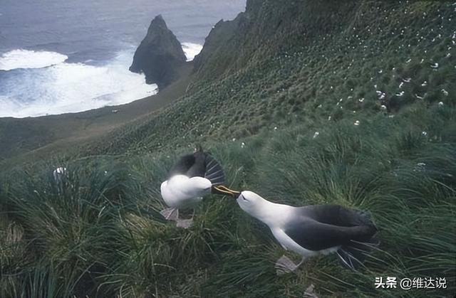 最值得旅游的六大洞穴，世界最难进入的孤岛之一