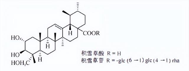 萜类的作用及功能，植物功效成分-三萜及其苷类