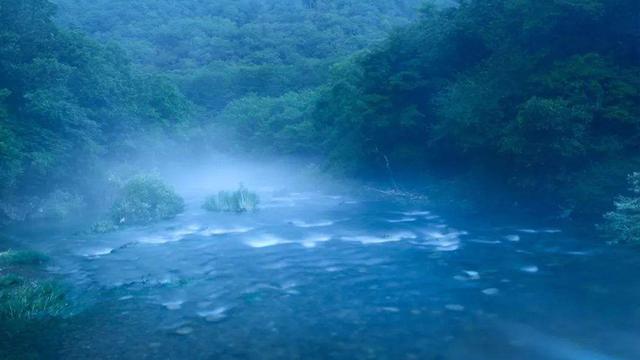 描述夏日炎日的诗句，炎炎夏日何以消烦暑