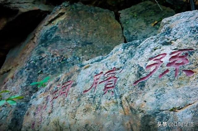 伏见桃山起源，来自日本天皇陵墓的奶茶