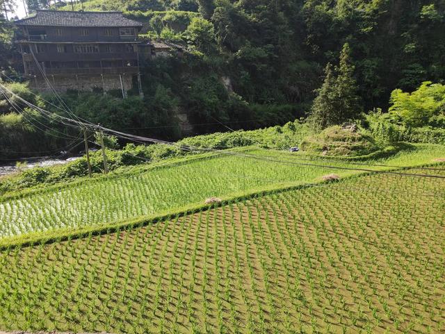 千户苗寨旅游攻略详细，西江千户苗寨最详细游玩攻略（西江千户苗寨到底值不值得去）