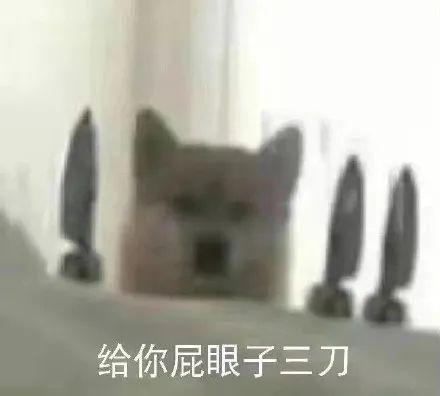 可爱小狗表情包，可爱表情包大全狗子