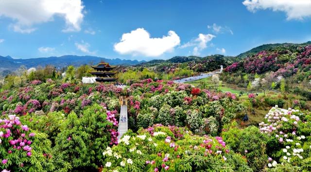 清明踏青好去处，清明小长假踏青旅游攻略