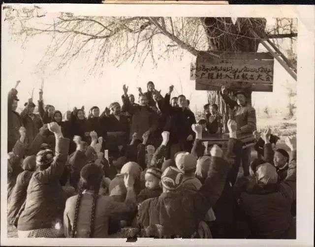 壬寅虎年大势总述，壬寅年总结：风雨烟火又一年