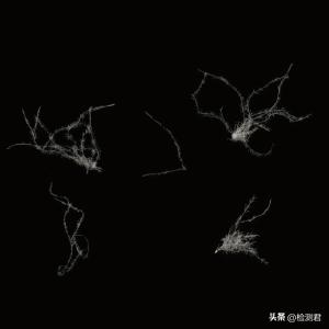 羽绒服执行标准，国标羽绒服标准