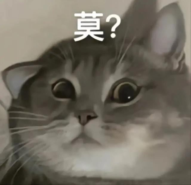 特别困的表情包抖音，表情，为什么你每天这么困