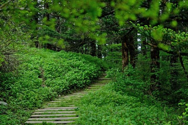 峨眉山游览攻略，峨眉山最全旅游攻略（来了就被它征服）