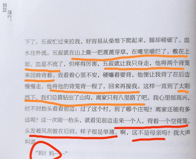 世间唯有母爱可以感同身受，只有妈妈之间的惺惺相惜