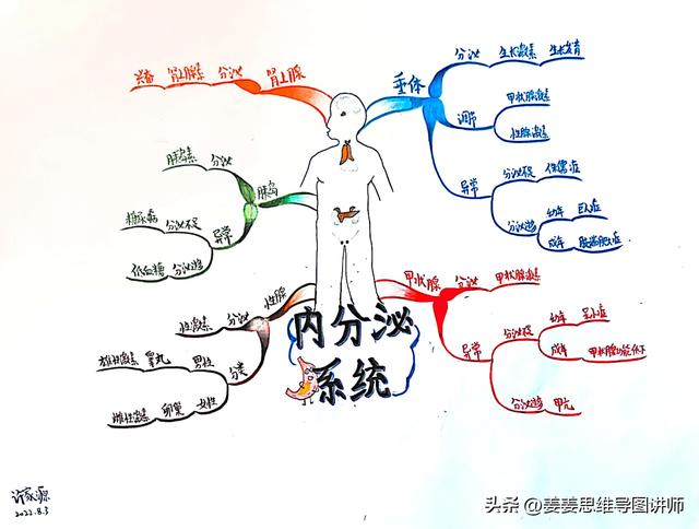 初一生物人体八大系统思维导图，初一全套生物系统图
