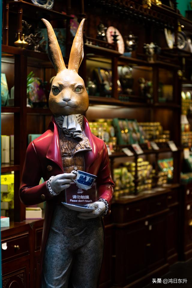 复古情怀胶片相机满满的仪式感，九款实用仿拍立得胶片感APP大测评