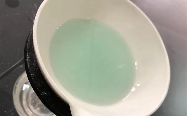 什么花四季都开花还好养，这6种“四季花”