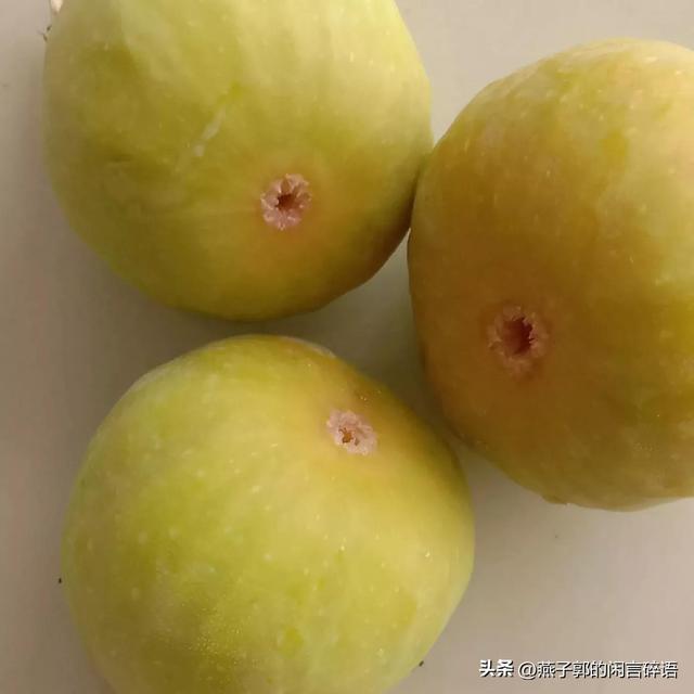 荷兰豆为什么叫荷兰豆，搞笑荷兰豆为什么叫荷兰豆