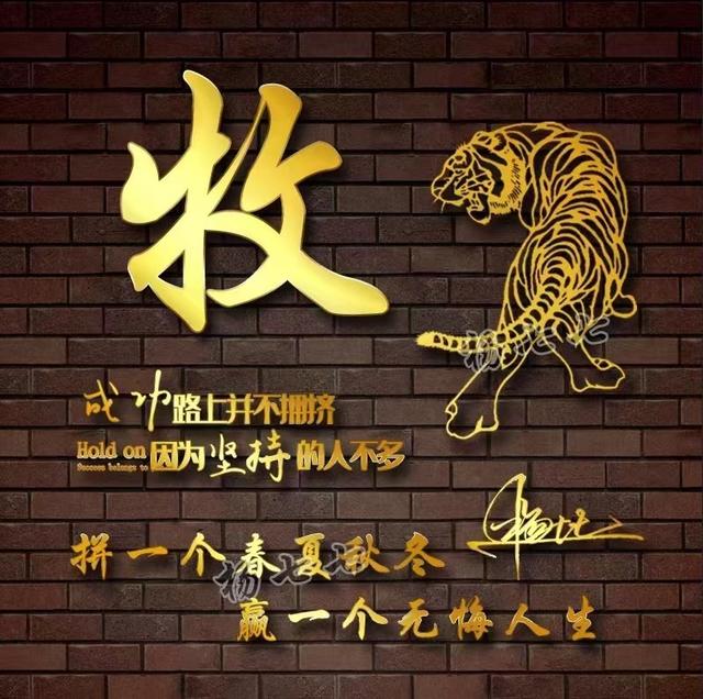 超好看的微信头像，超好看的微信头像及名字（2022你的微信头像做好了）