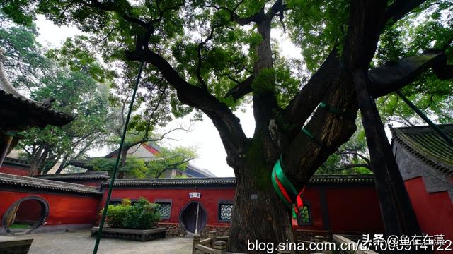 介绍一下太原晋祠，21晋行太原