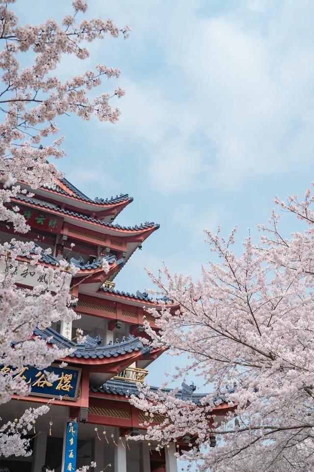 春天最适合旅行的地方，我在这3个地体验到了