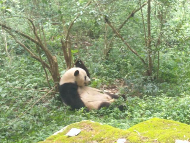 情人总是分分合合，为什么情人在一起久了就会计较（情人总分分合合）