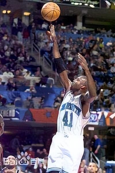 nba黄蜂队现役首发，NBA巡礼之队史最佳阵容之夏洛特黄蜂队
