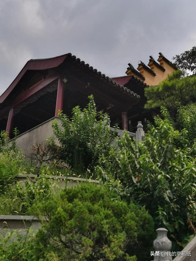 鸡鸣寺在哪个城市，古鸡鸣寺地点（天太热，南京鸡鸣寺的樱花开了）