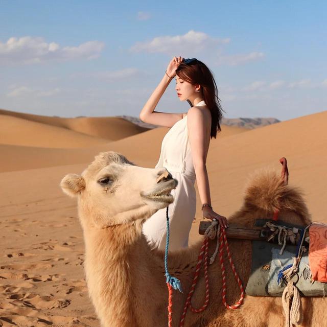 不受约束的沙漠之舟，字如其人——王献之《中秋帖》探析