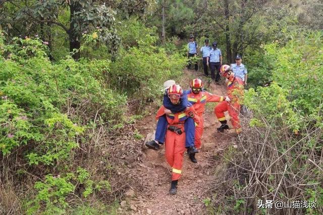 农村夜晚的虫鸣是什么虫，故乡虫鸣