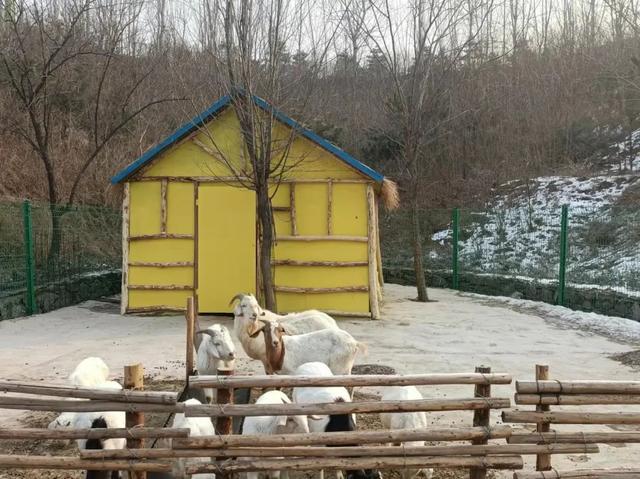 西部长青景点在哪里，风景好去处
