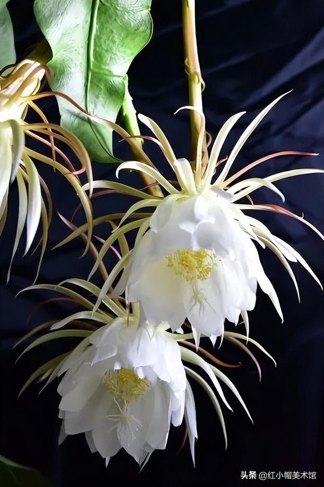 一年级美术作品，一年级下册美术奇妙的爬行作品